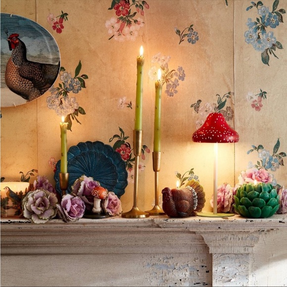 NWT John Derian Rechargeable LED Mushroom Lamp 🍄 - Picture 3 of 12